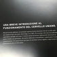 New OEM 2004 Lamborghini Gallardo VIP Hardback Book Italian