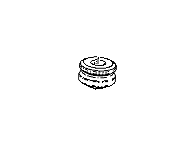 Bumper, Shock Absorber/Strut