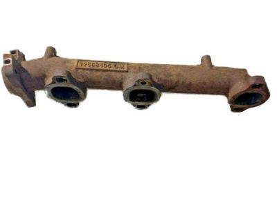 Manifold