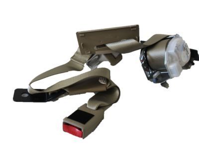 Seat Belt Assy