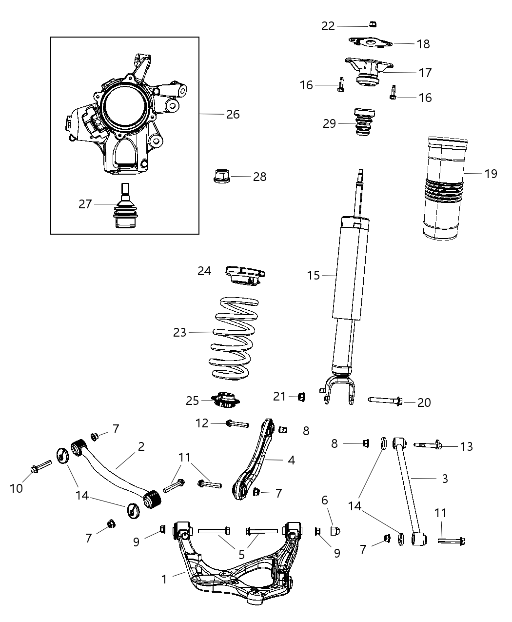 Spring Rear Coil