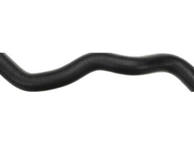 Hose