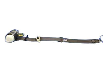 Seat Belt Assy
