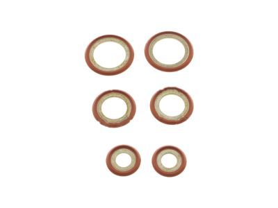 Suction Hose O-Ring