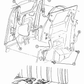 Seat Belt, Buckle & Buckle