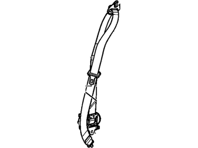 Belt Kit