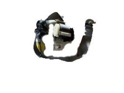 Seat Belt Assy