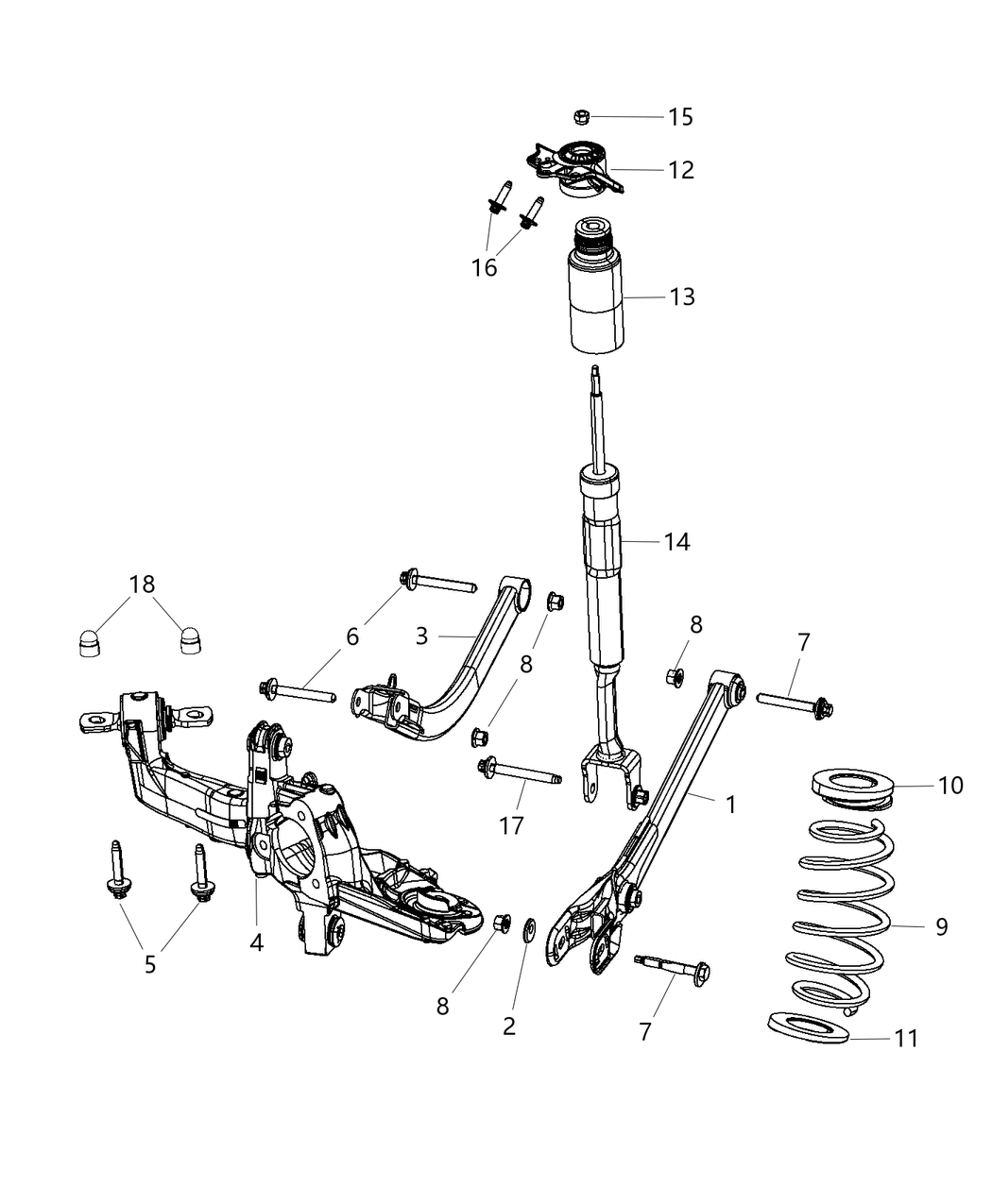 Spring Rear Coil
