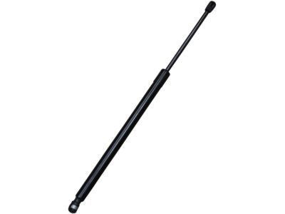 Lift Assy - Gas