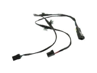 Wiring Assy - Main