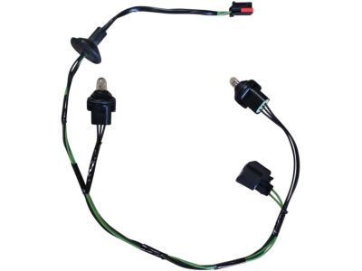Socket And Wire Assy - Lamp