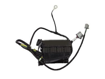 Wire Assy