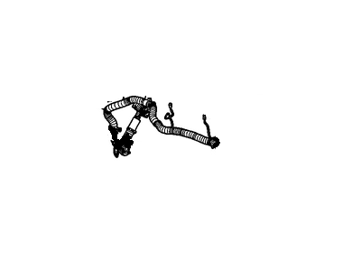 Harness