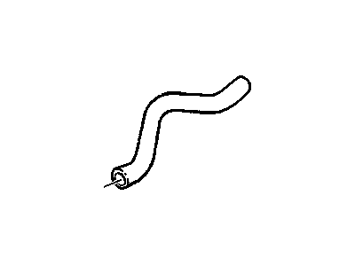 Hose, Radiator Outlet (Lower)
