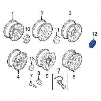 New OEM Wheel Cap Fits, 2008-2009 Ford Expedition - Part # 8L1Z1130A